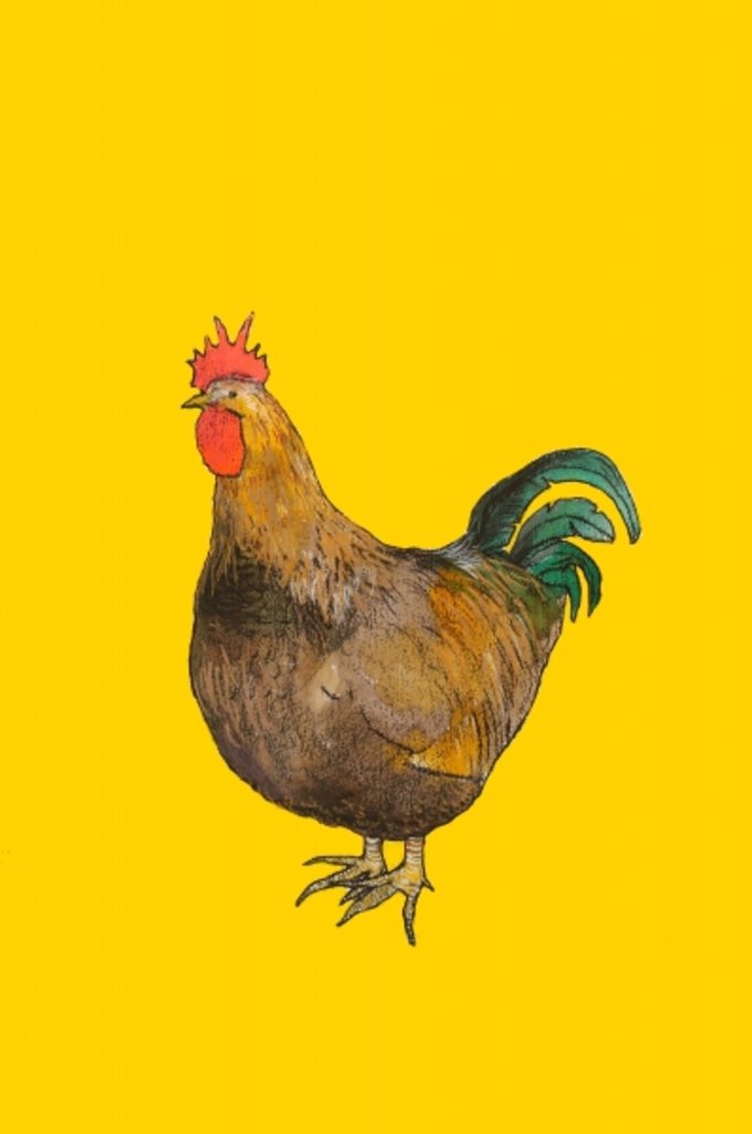 Detail of Cockerel, 2006 by Sarah Thompson-Engels