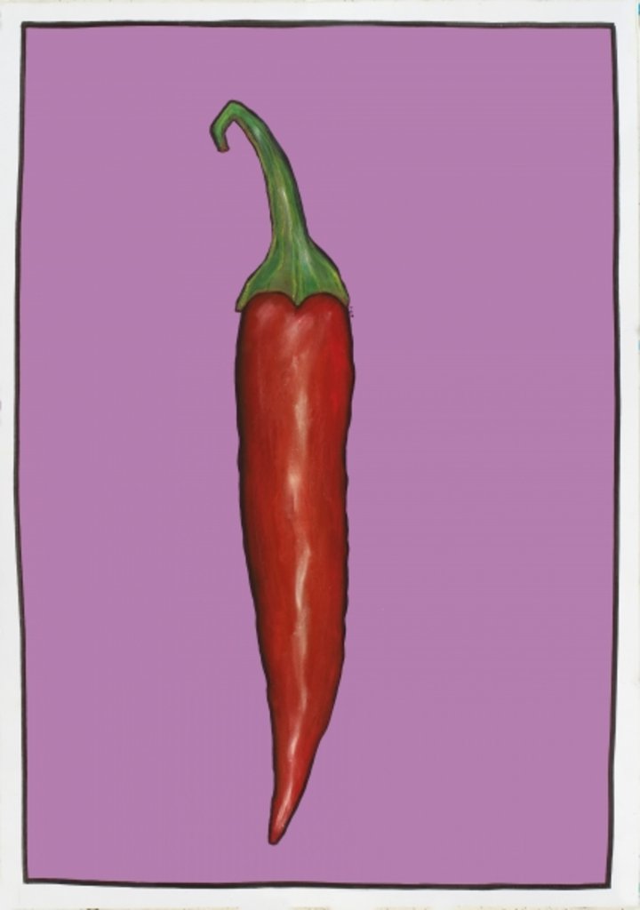 Detail of Chilli pepper purple,2004 by Sarah Thompson-Engels