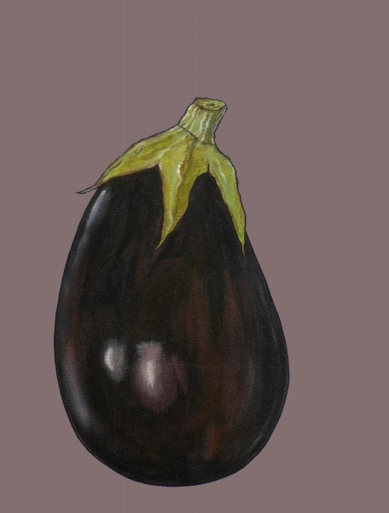 Detail of Aubergine, 2003 by Sarah Thompson-Engels
