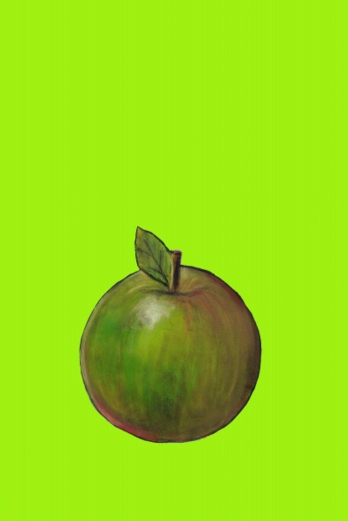 Detail of Apple, 2003 by Sarah Thompson-Engels