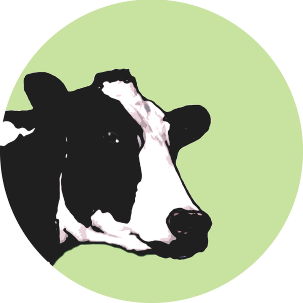 Detail of Cow, 2015 by Sarah Thompson-Engels