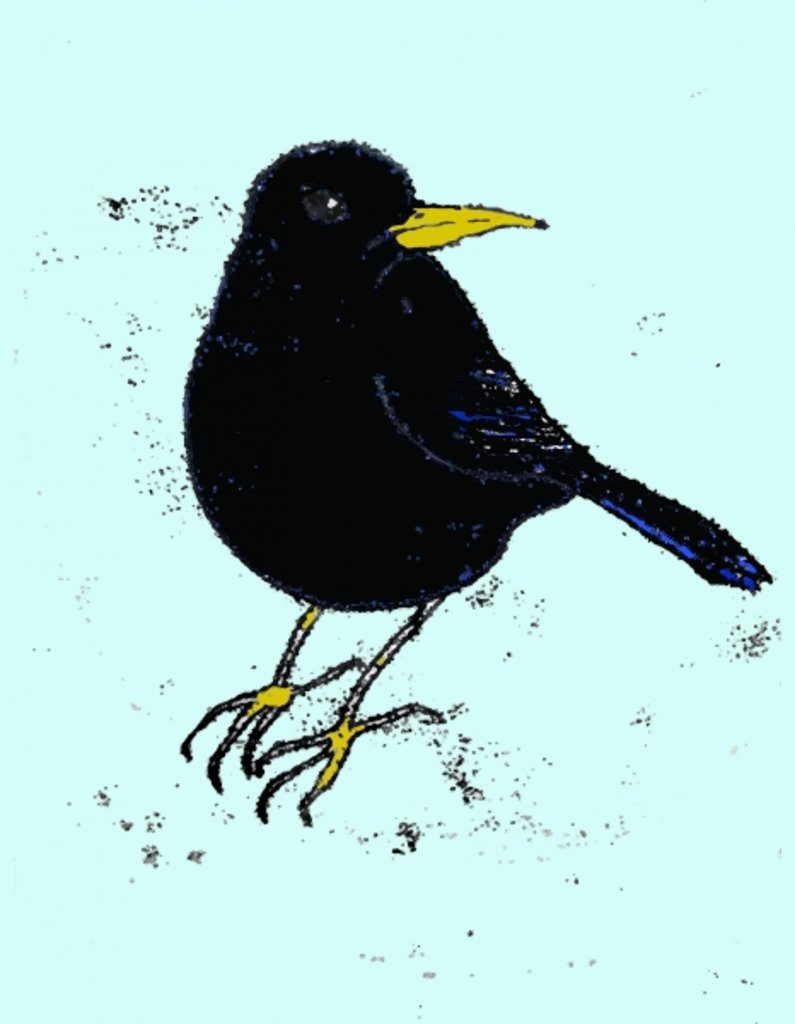 Detail of Blackbird, 2008 by Sarah Thompson-Engels