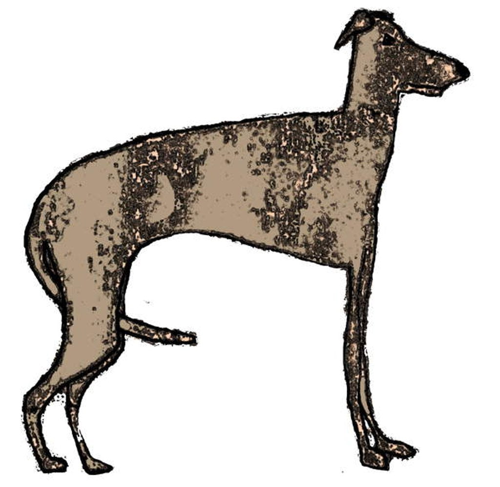 Detail of Lurcher, 2018 by Sarah Thompson-Engels