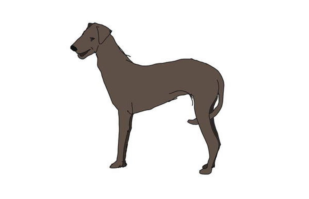 Detail of Hound, 2018 by Sarah Thompson-Engels