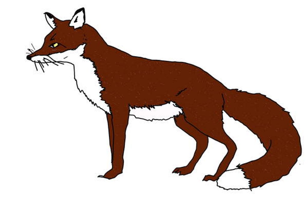 Detail of Fox, 2018 by Sarah Thompson-Engels
