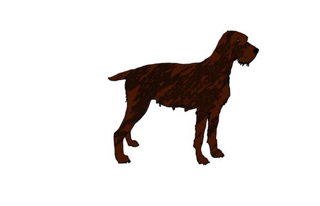 Detail of Dog, 2018 by Sarah Thompson-Engels