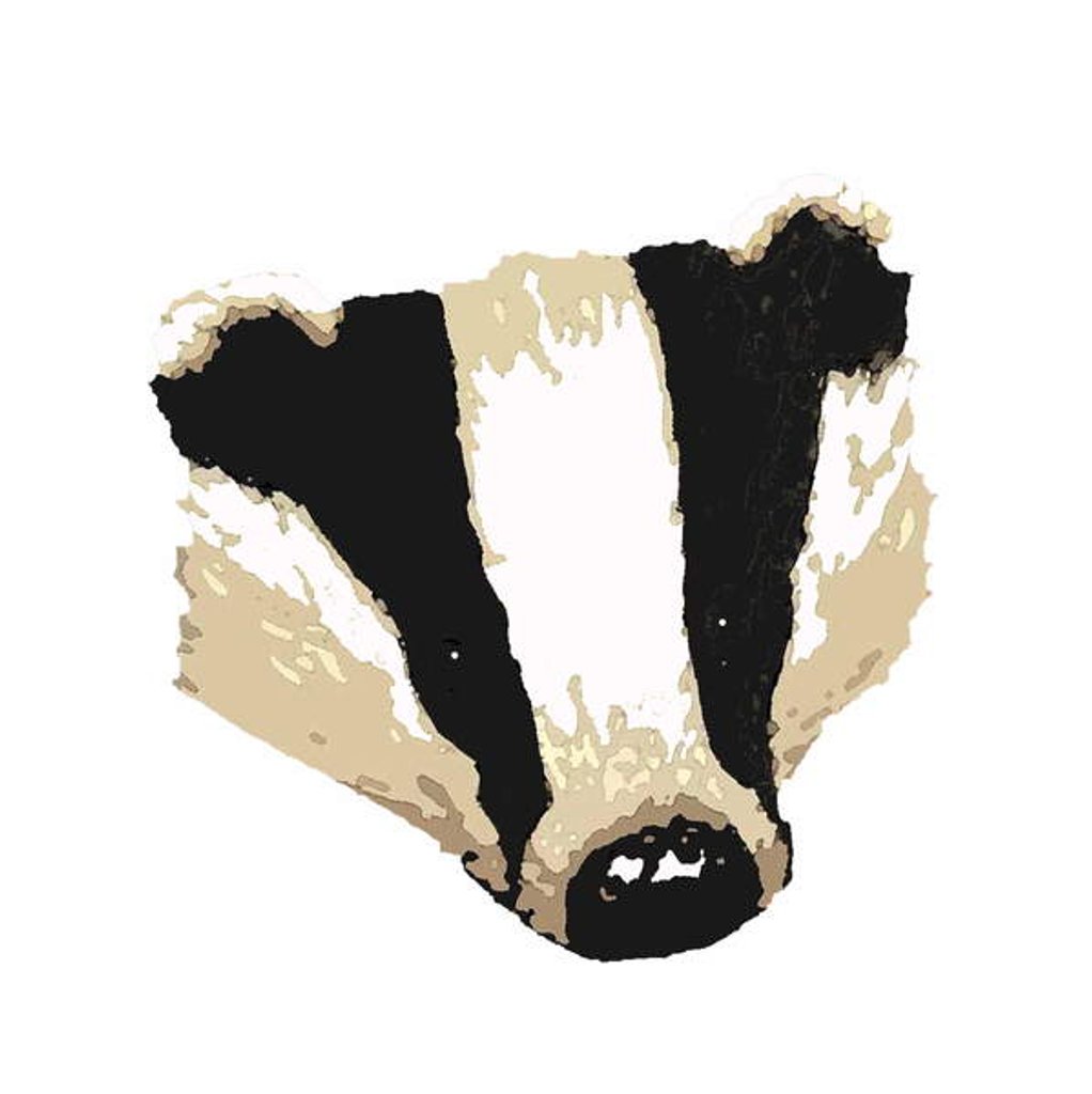 Detail of Badger, 2018 by Sarah Thompson-Engels