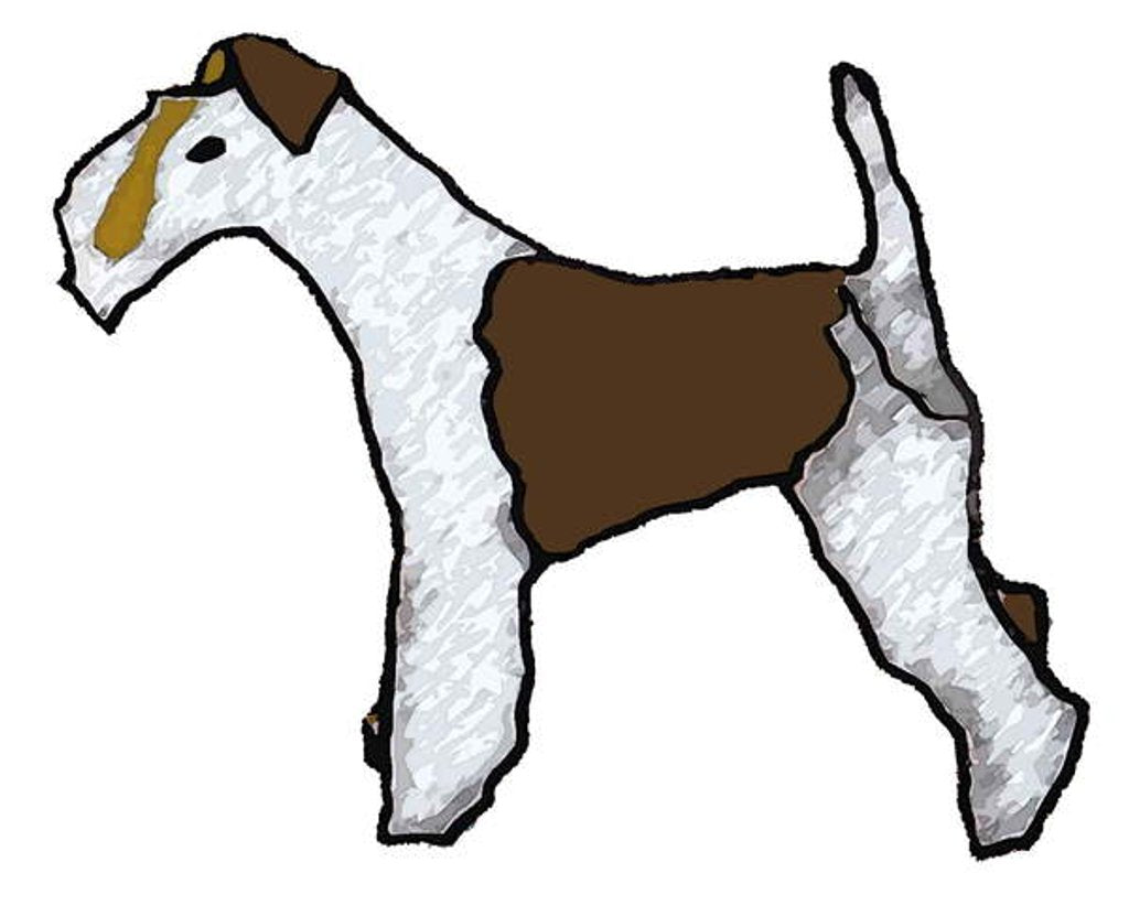 Detail of Fox terrier, 2016 by Sarah Thompson-Engels