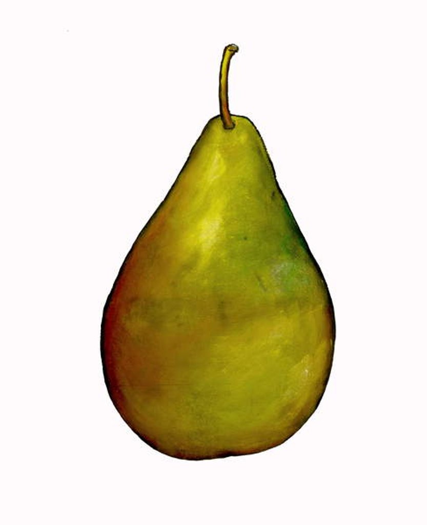 Detail of pear by Sarah Thompson-Engels