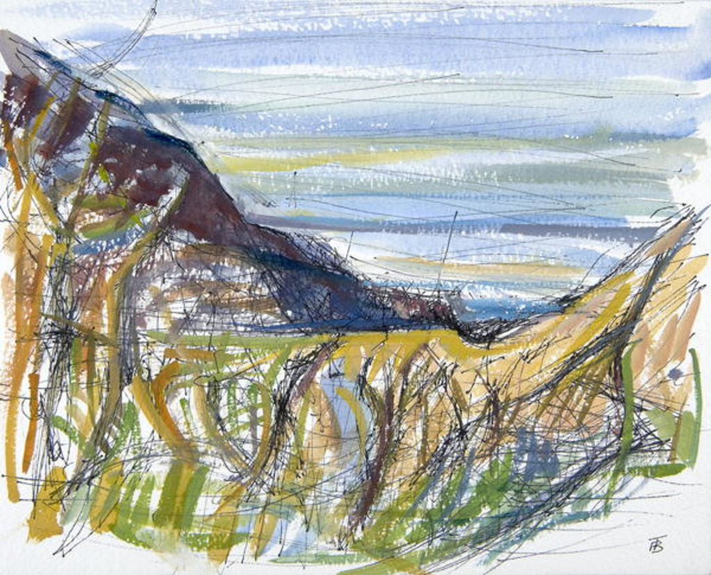 Detail of Towards Marsland Mouth, North Devon by Erin Townsend