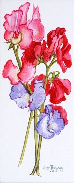 Detail of Three Sweet Peas, 2011 by Joan Thewsey