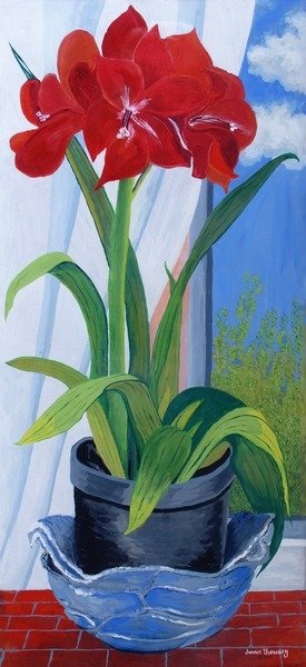 Detail of Amaryllis in a Blue Bowl, 2011 by Joan Thewsey