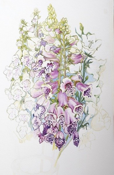Detail of Foxgloves and White Campanulas, 2012 by Joan Thewsey