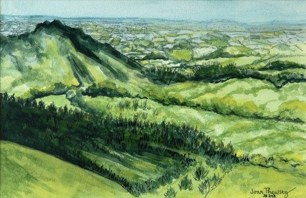 Detail of View from Sue au Mai, Limousin France, 2010 by Joan Thewsey
