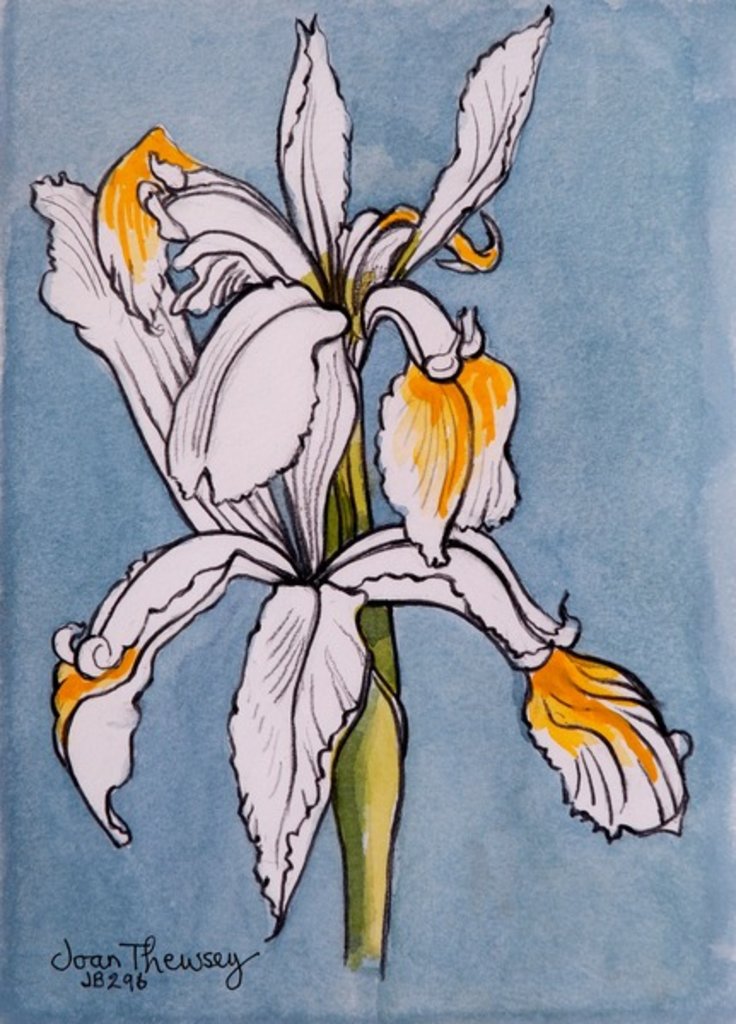 Detail of Two Irises, 2001 by Joan Thewsey