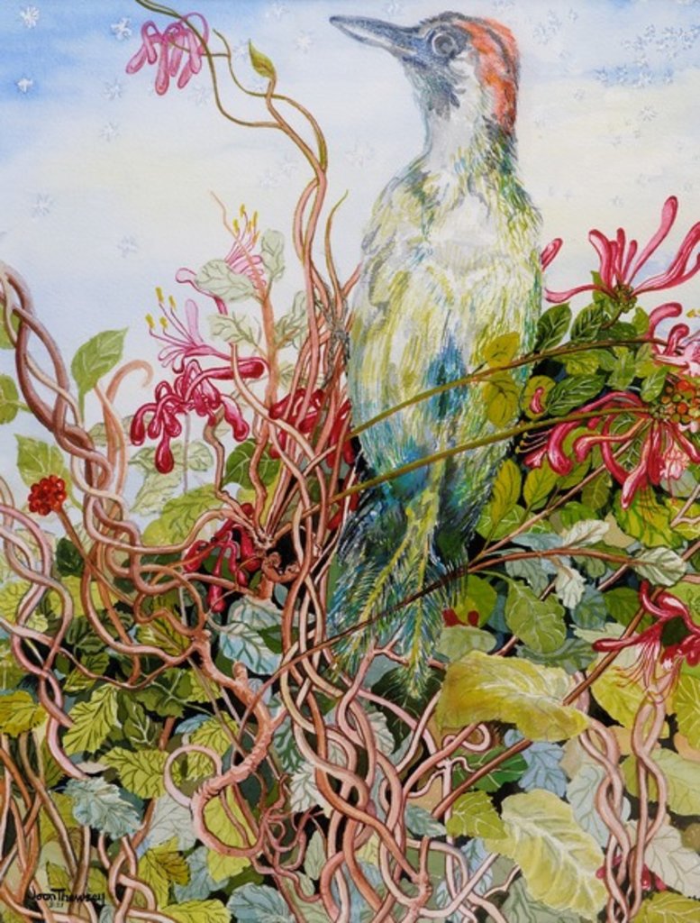 Detail of Woodpecker in the Honeysuckle, 2010 by Joan Thewsey