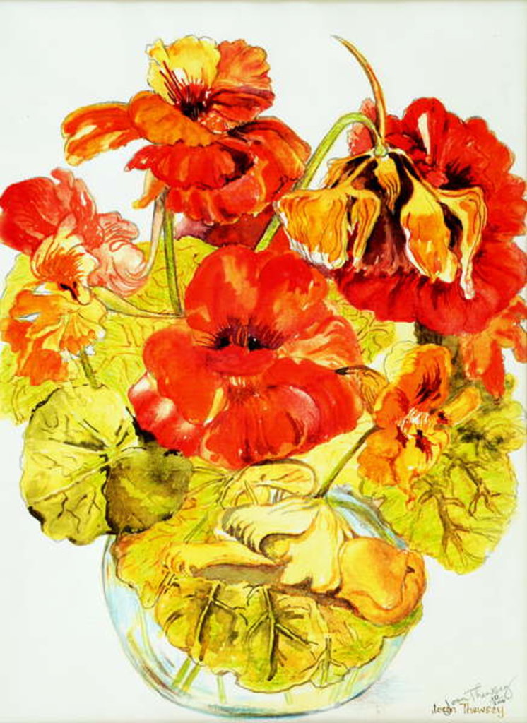 Detail of Nasturtiums, 2005 by Joan Thewsey