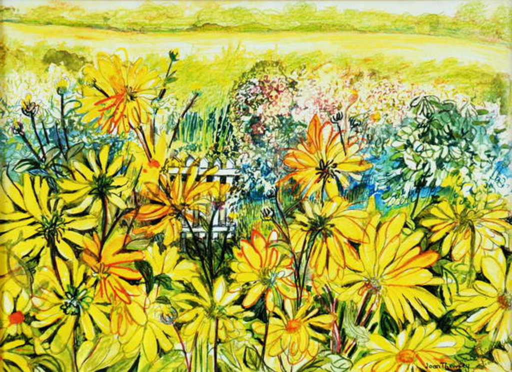 Detail of Cottage Gate seen through Sun Daisies, 2005 by Joan Thewsey