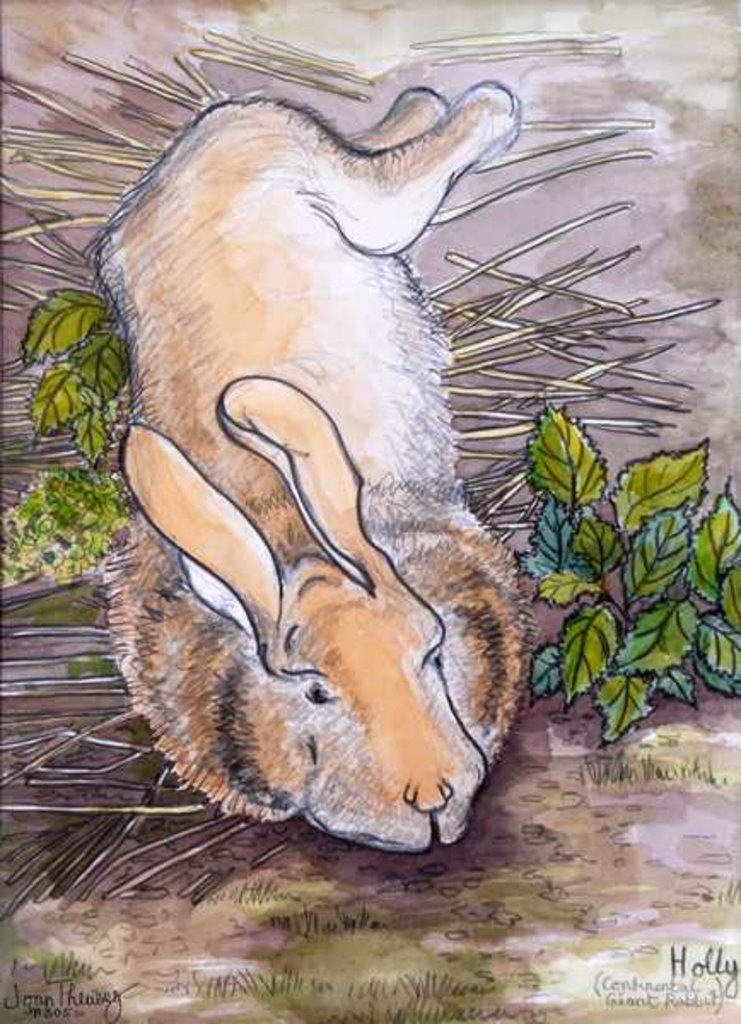 Detail of Holly, the Giant Continental Rabbit, 2002 by Joan Thewsey