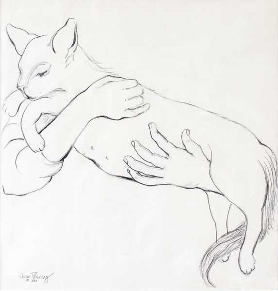 Detail of Cuddly Cat, 2000 by Joan Thewsey