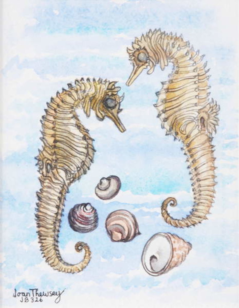 Detail of Two Seahorses, with Shells, 2000 by Joan Thewsey