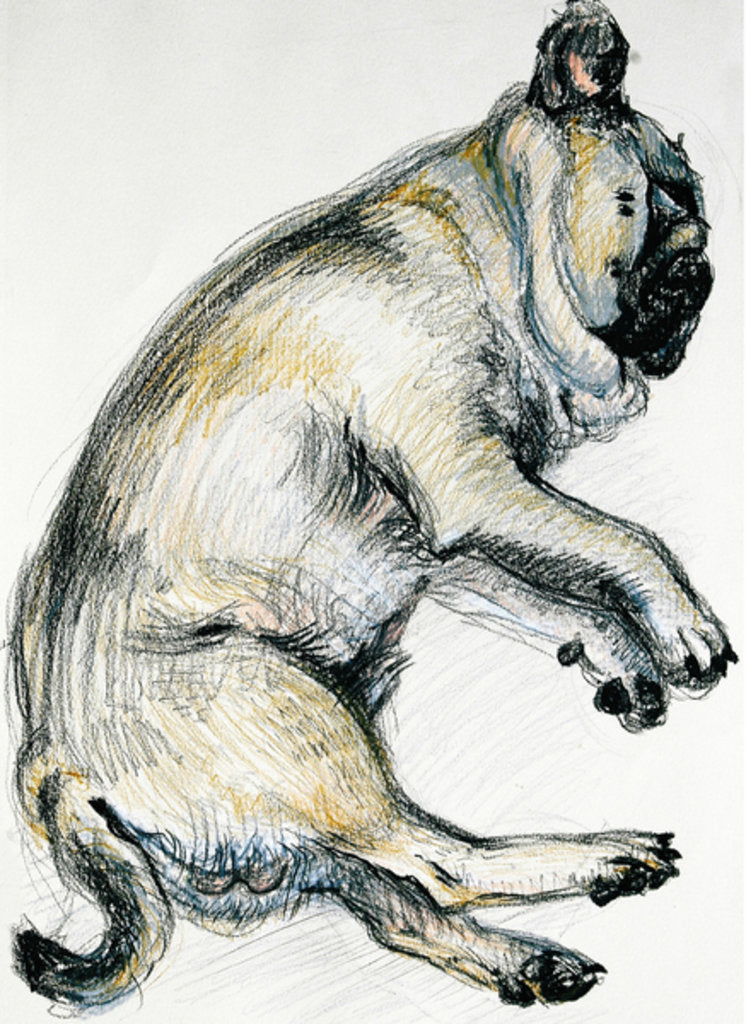 Detail of Sleeping Pug One, 2000 by Joan Thewsey