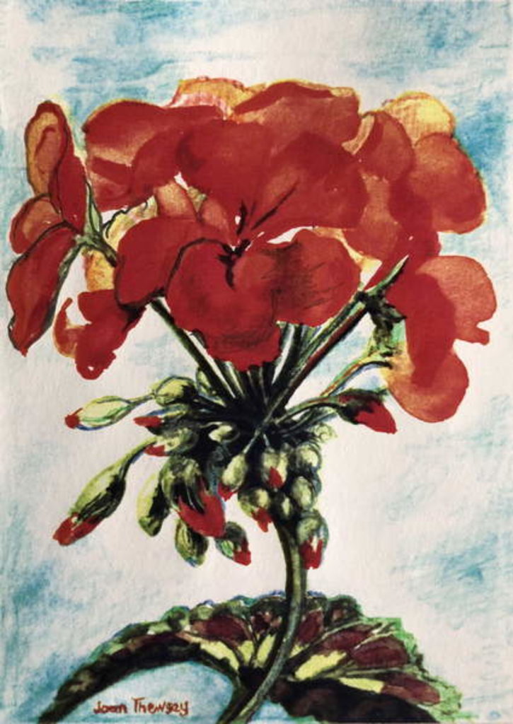 Detail of Geranium by Joan Thewsey