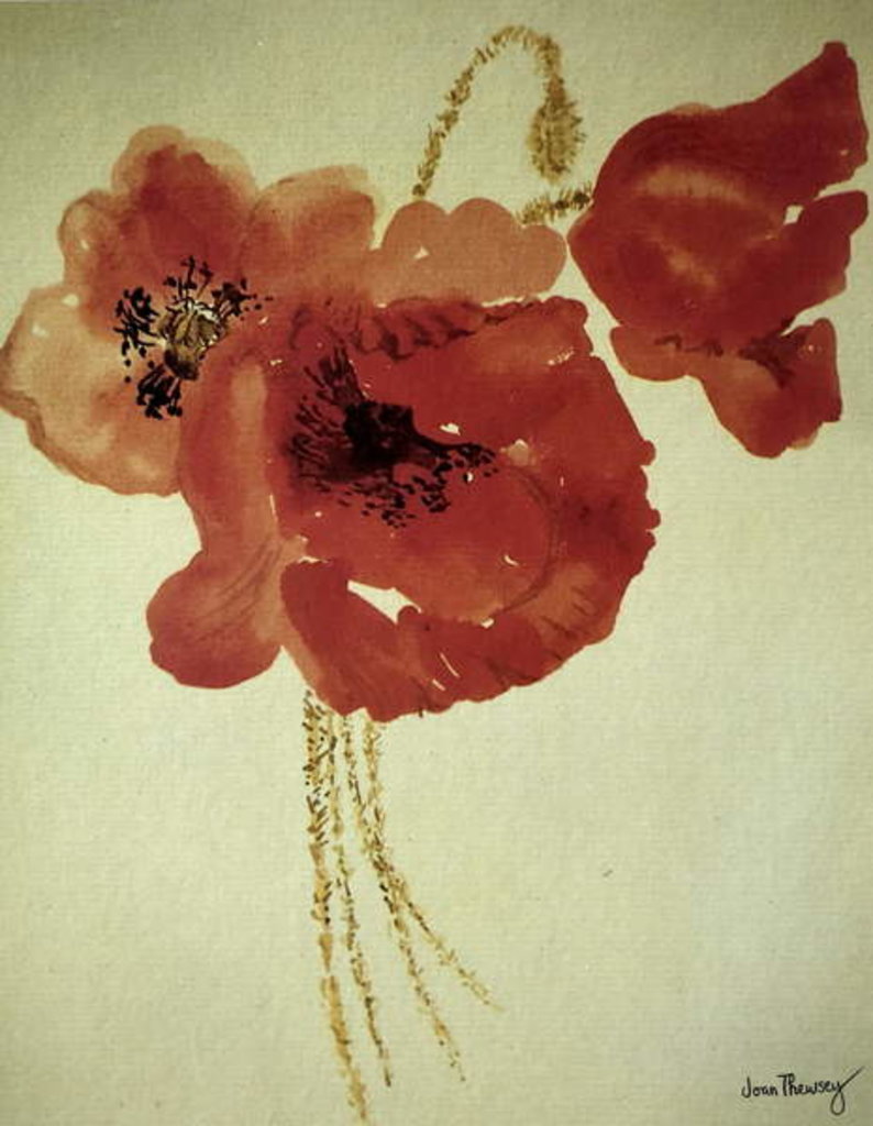 Detail of Poppies from the Cornfield by Joan Thewsey