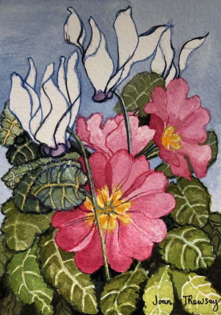 Detail of Cyclamen and Primrose by Joan Thewsey
