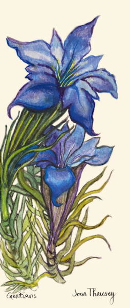Detail of Gentians by Joan Thewsey