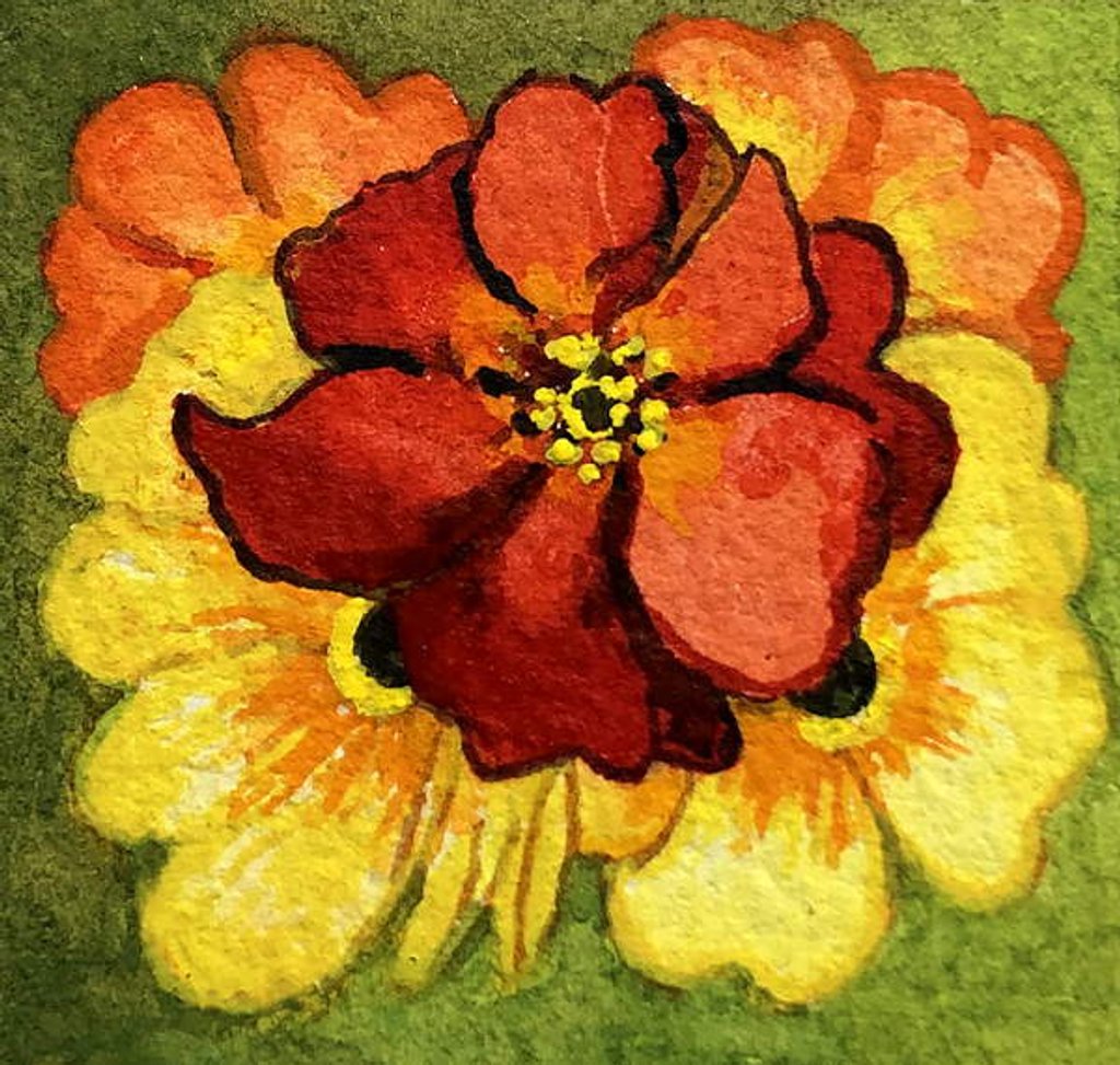 Detail of Five Primroses, red, yellow and orange by Joan Thewsey
