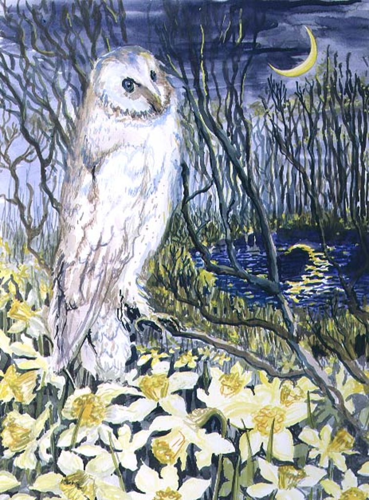 Detail of Owl by Joan Thewsey