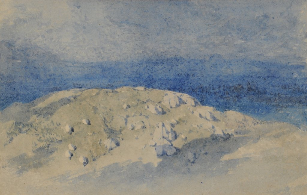 Detail of Hill Top, 1840-58 by William James Blacklock