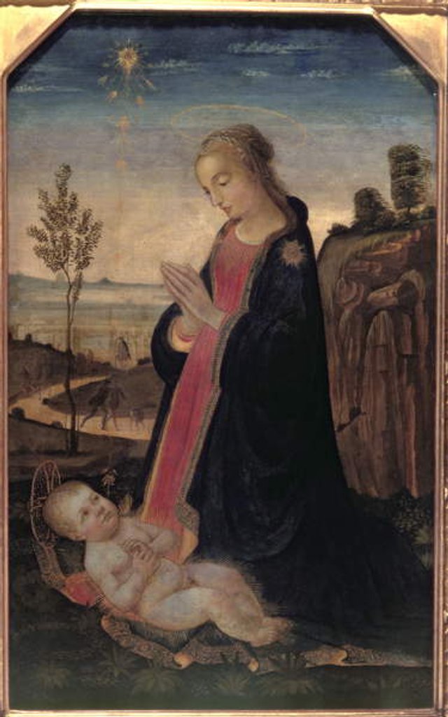 Detail of Madonna and Child in a Landscape by Jacopo del Sellaio