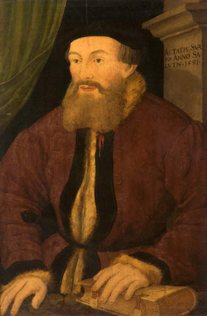 Detail of Portrait of a Man, 1551 by Flemish School