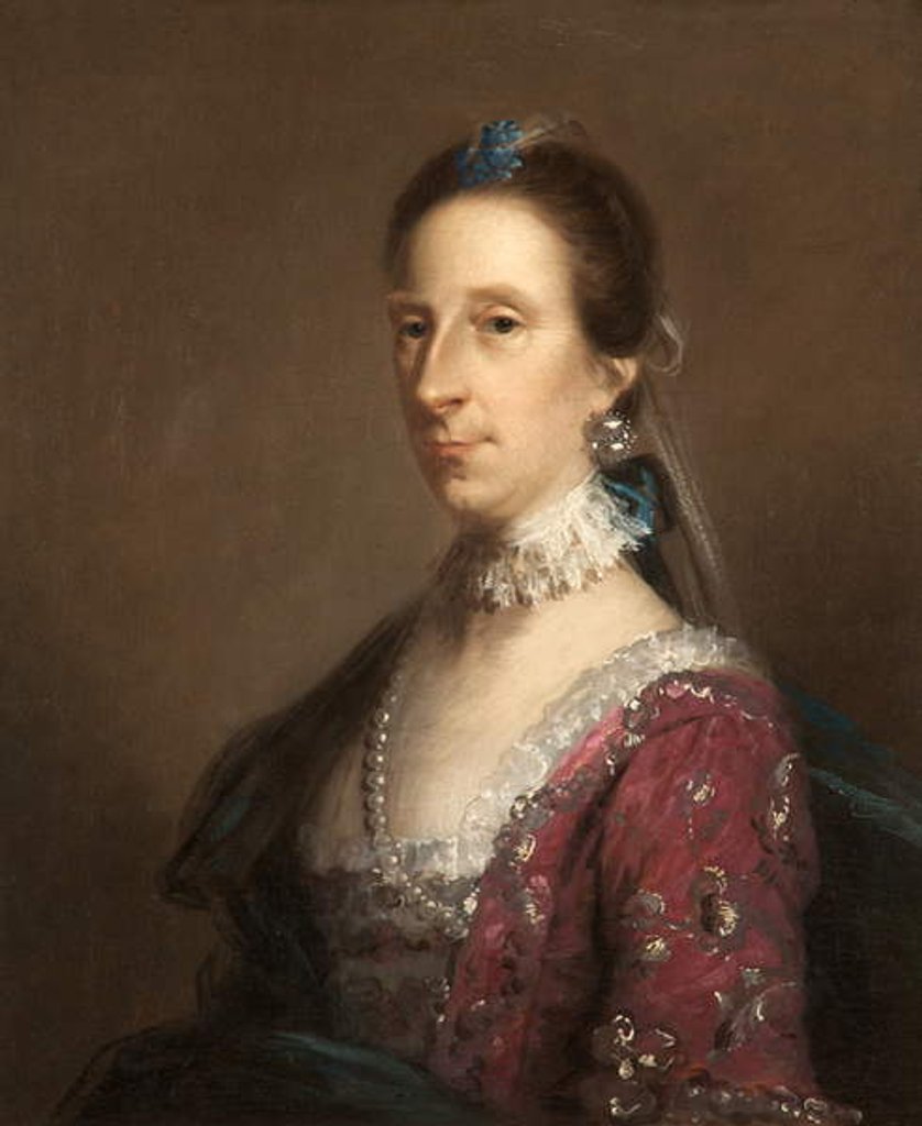 Detail of Portrait of a Lady by John Astley