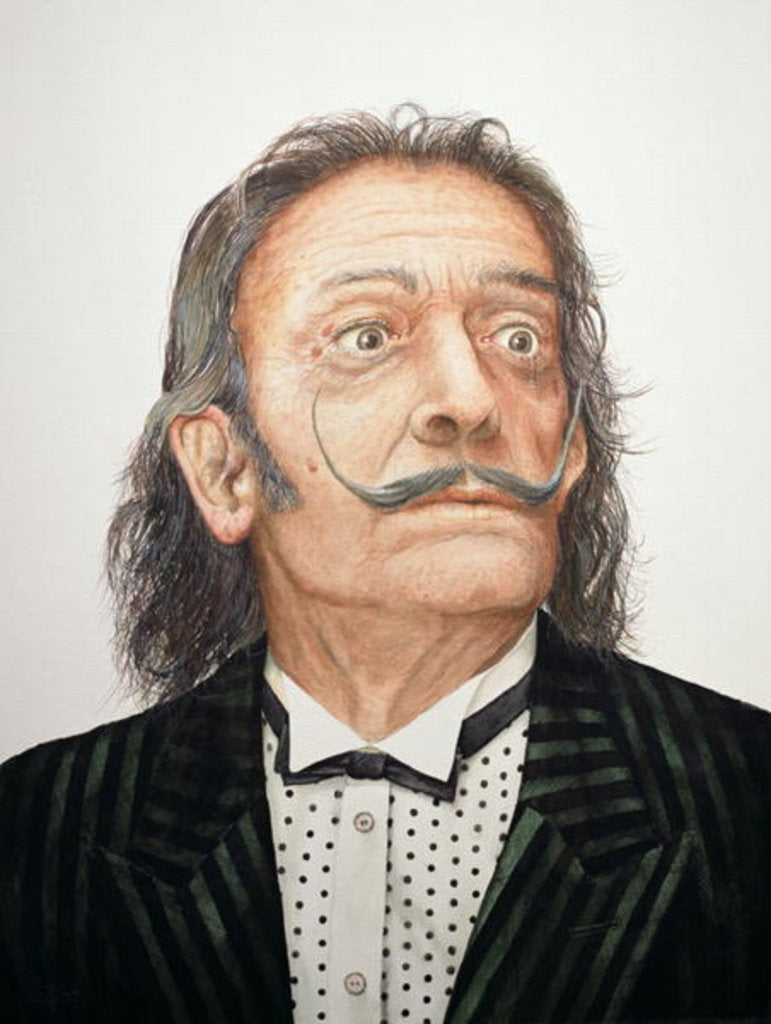 Detail of Dali by Trevor Neal