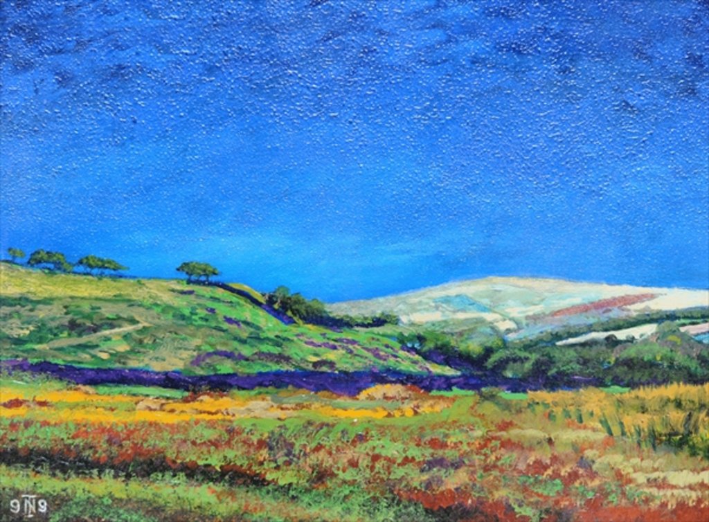 Detail of Derbyshire landscape, 1999 by Trevor Neal