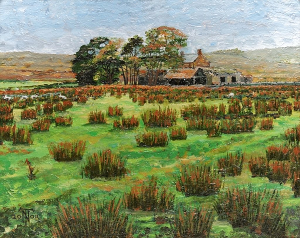 Detail of Farm Cumbria, 2008 by Trevor Neal