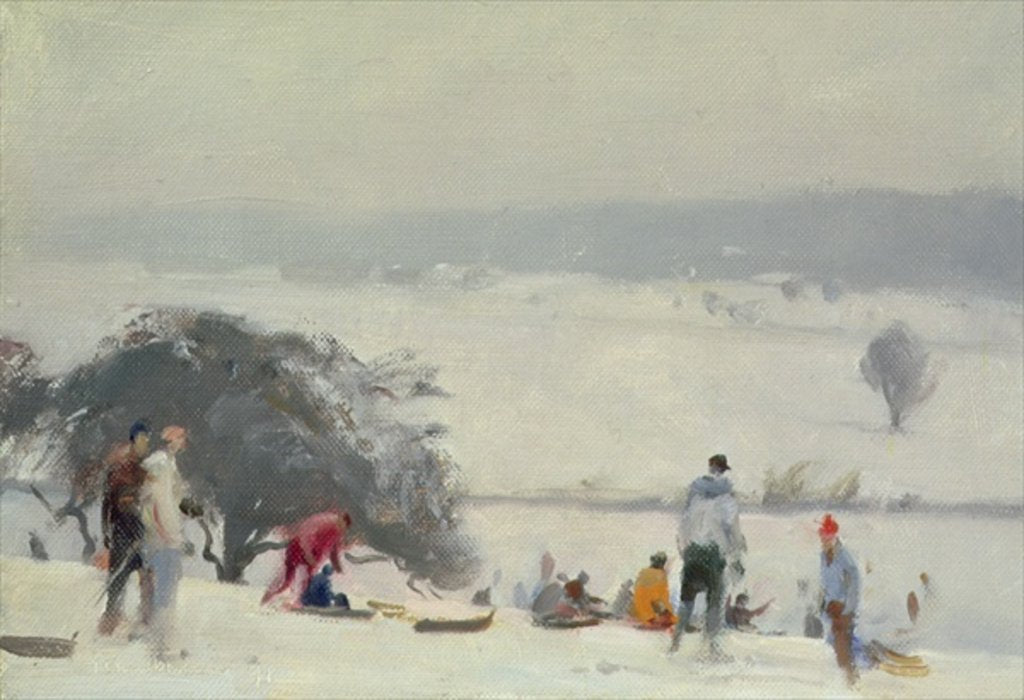 Detail of Tobogganing, The Meads, Hertford by Trevor Chamberlain
