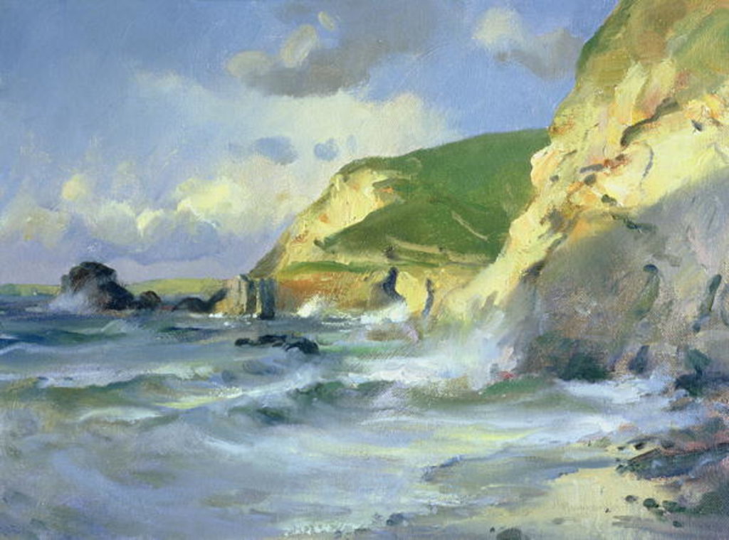 Detail of Cliffs at St. Agnes by Trevor Chamberlain