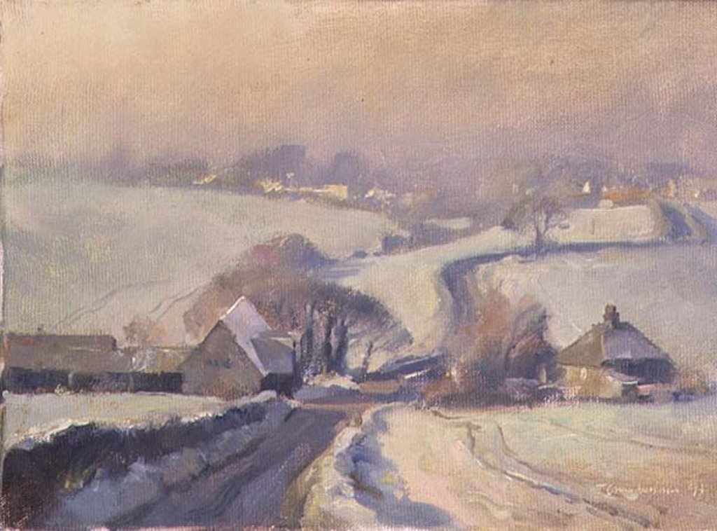 Detail of Frosty fields, Aston, 1991 by Trevor Chamberlain