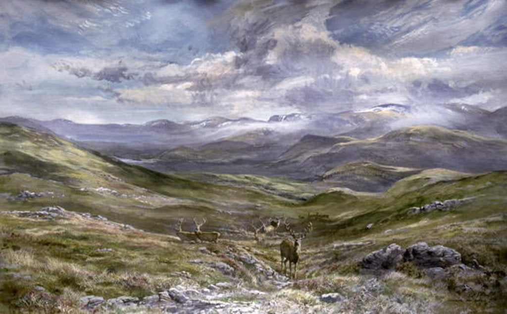 Detail of Kinrara, Aviemore, Scotland, 1988 by Tim Scott Bolton