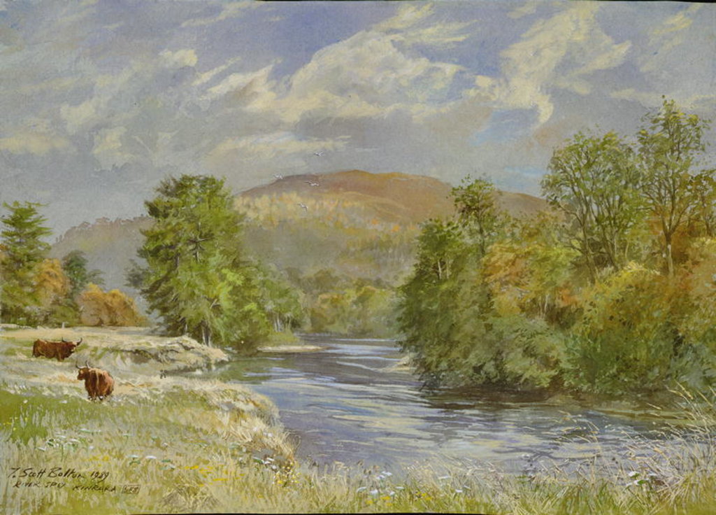 Detail of River Spey, Kinrara, 1989 by Tim Scott Bolton