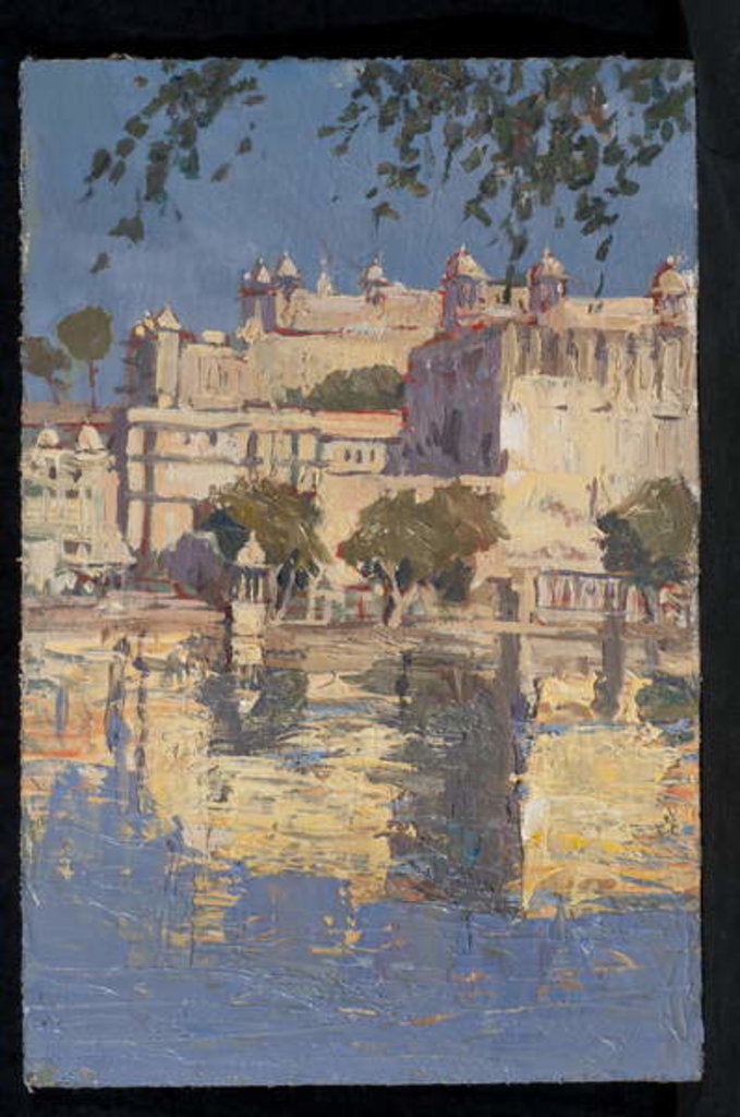 Detail of Udaipur City Palace Reflections by Tim Scott Bolton