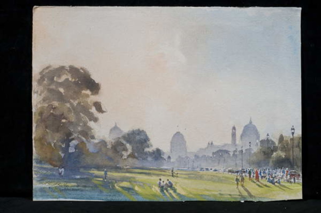 Detail of Rajpath, New Delhi, 2013 by Tim Scott Bolton