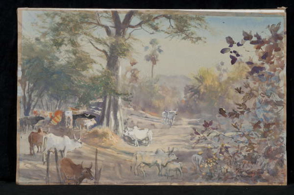 Detail of Cattle, Jambughoda, 2009 by Tim Scott Bolton