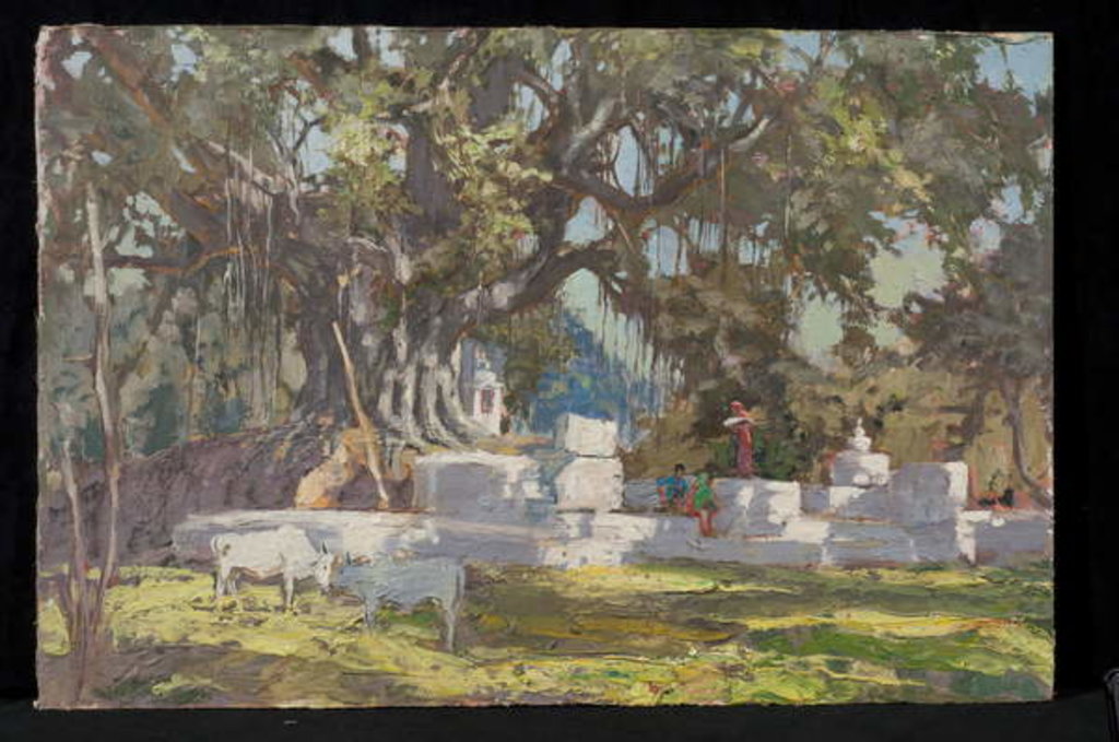 Detail of Kawardha Well and Banyan Tree by Tim Scott Bolton