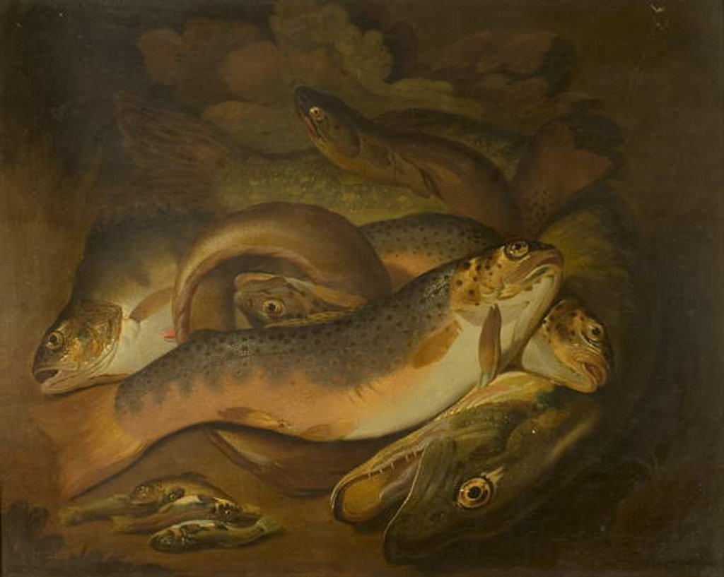 Detail of Fishes by Moses Haughton