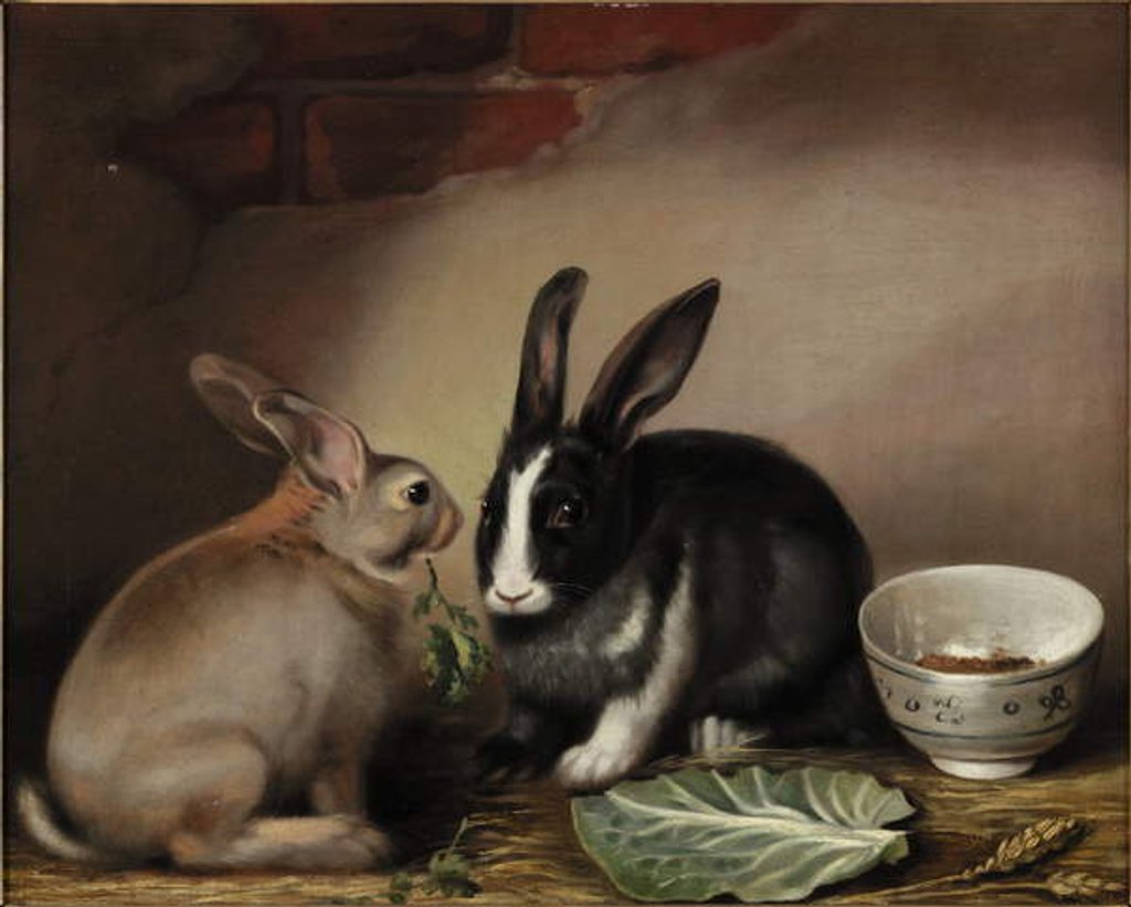 Detail of Rabbits by Joseph Thomas (19th century) Wilson